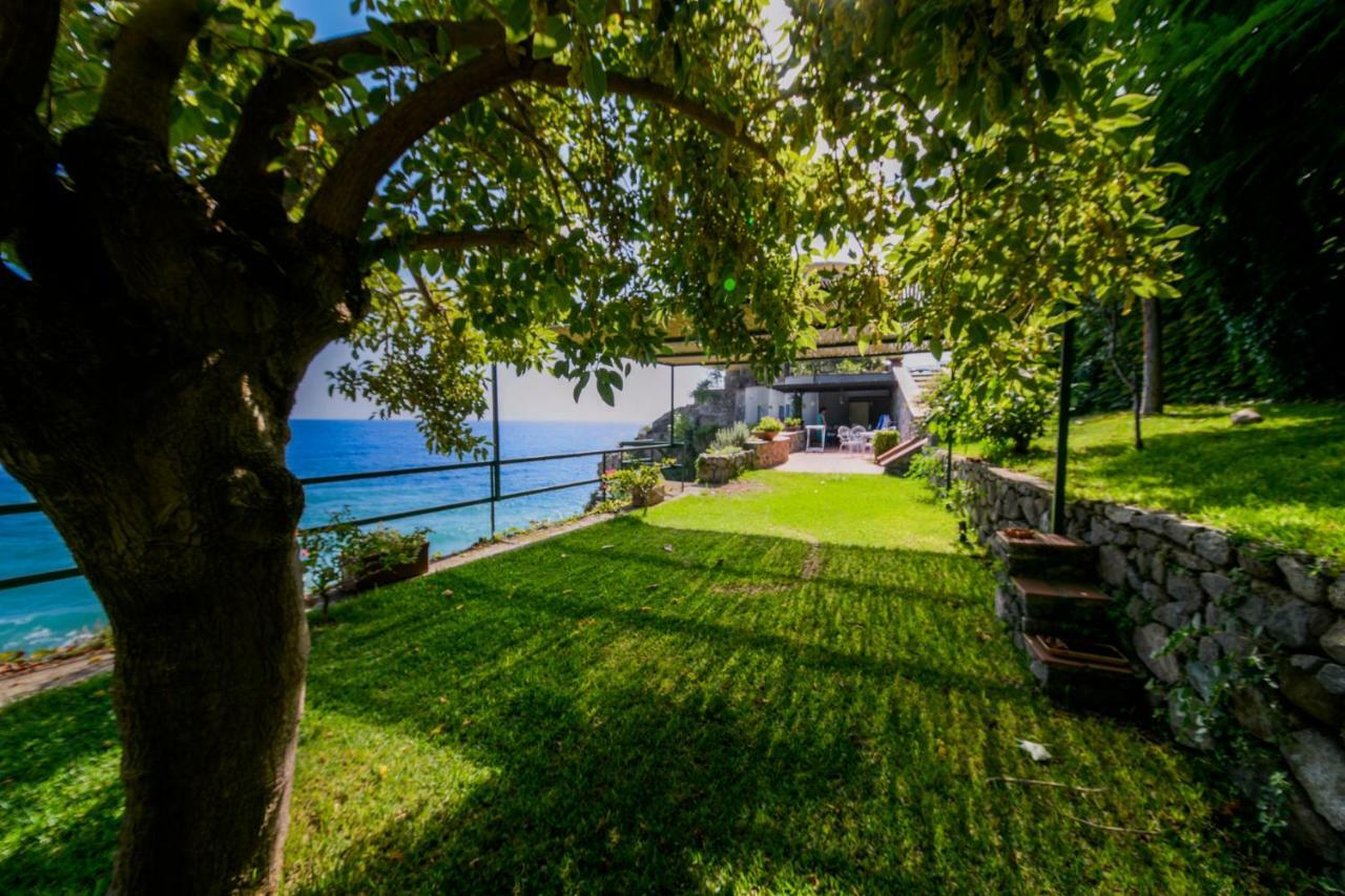 Villa Alcado Копанело Екстериор снимка